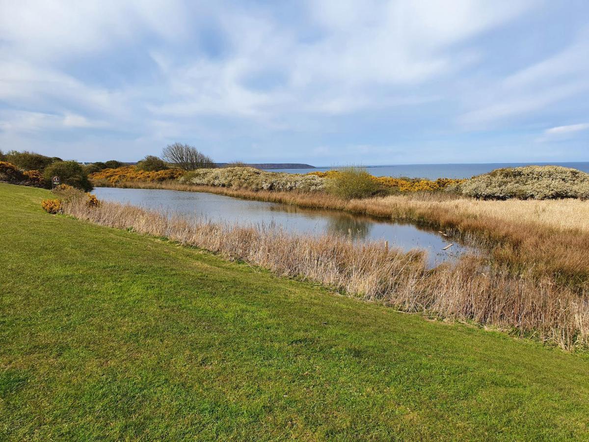 Puffin Cottage Filey Zewnętrze zdjęcie